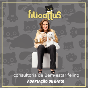 Consultoria de bem-estar Felino - Adaptação e  Rotina