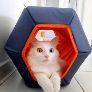 Toca Hexagonal Mundi